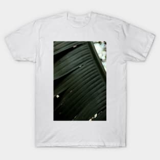 Banana 03 T-Shirt